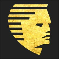 Advanced Hair Studio